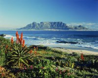 Table Mountain